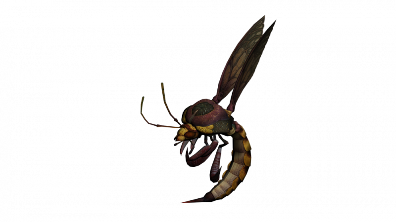 Pet Albina - Bee NPC - Mesaj 1 - Imagine 2