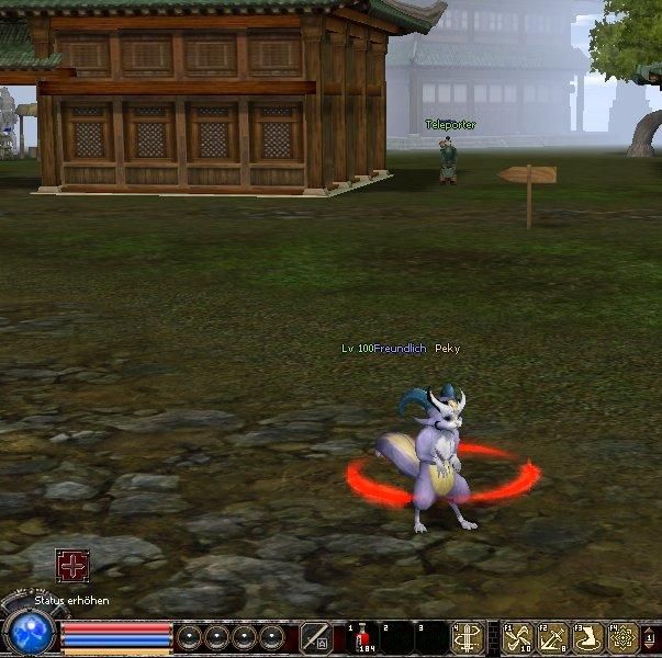 Pet Veverita - Mesaj 1 - Imagine 1