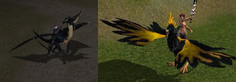 Mount 2x Pasari - Mesaj 1 - Imagine 1