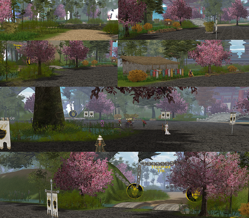 Map 1 Primavara - Mesaj 1 - Imagine 1