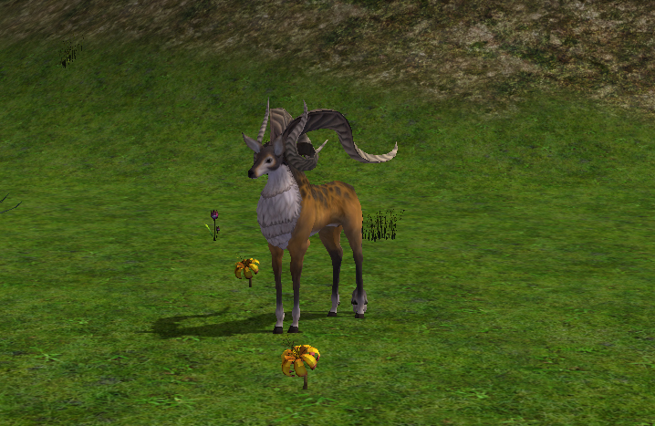 New Gazela Mob - Mesaj 1 - Imagine 1