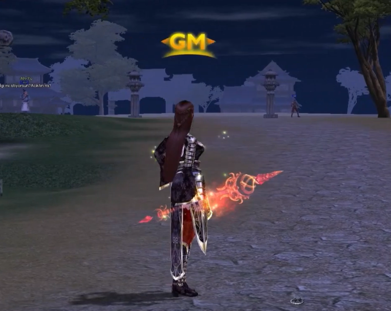 [FULL] Set Arme de Foc animate MDE - Mesaj 1 - Imagine 5