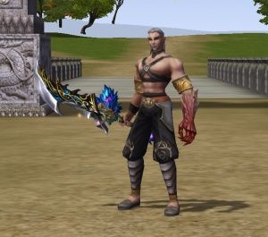 Set FULL Arme Cianit - Metin2 - Mesaj 1 - Imagine 7