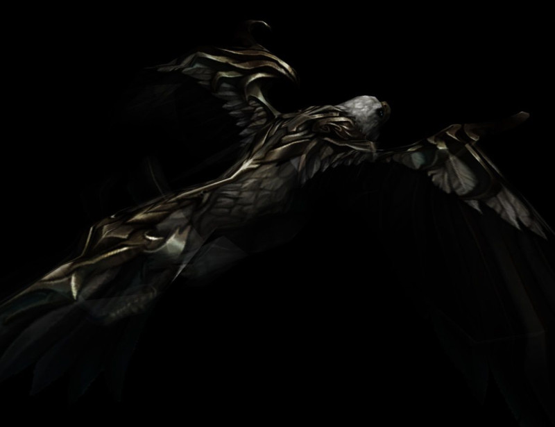 Pet nou - Vultur - Mesaj 1 - Imagine 1