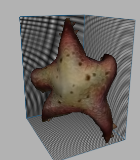 Starfish Pet - Mesaj 1 - Imagine 1