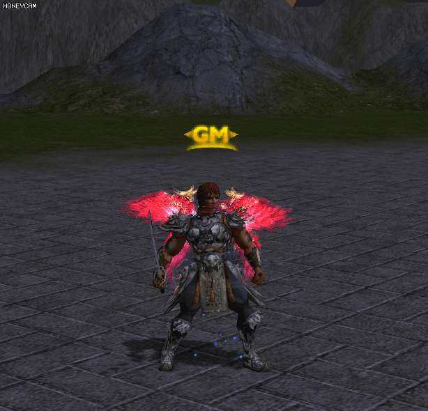 4 esarfe / aripi animate [MDE] - Mesaj 1 - Imagine 2