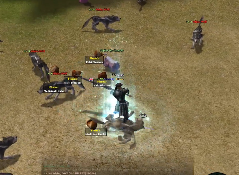 [C++] Pet PickUp - Mesaj 1 - Imagine 1