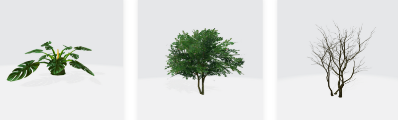 Obiecte mape - copaci, boscheti, plante, flori - Mesaj 1 - Imagine 5