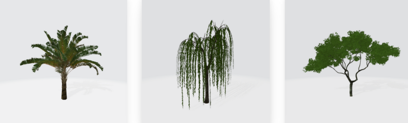 Obiecte mape - copaci, boscheti, plante, flori - Mesaj 1 - Imagine 3