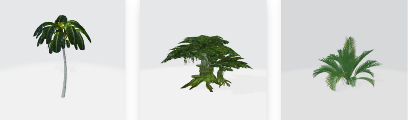 Obiecte mape - copaci, boscheti, plante, flori - Mesaj 1 - Imagine 2