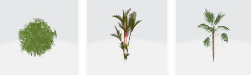 Obiecte mape - copaci, boscheti, plante, flori - Mesaj 1 - Imagine 1