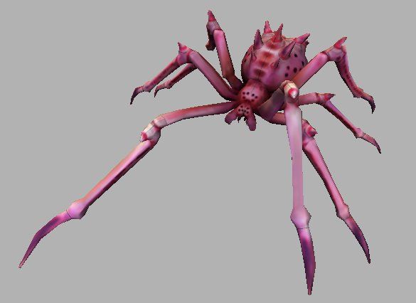 Pet Paianjen Roz - Mesaj 1 - Imagine 1