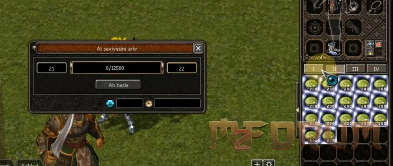 [C++/Py] Official Mount Upgrade System - Mesaj 1 - Imagine 2