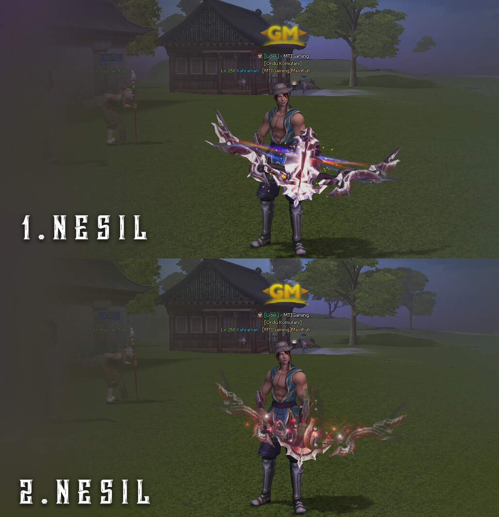 Pack de Arme MDE - Vechi & Noi - Mesaj 1 - Imagine 2