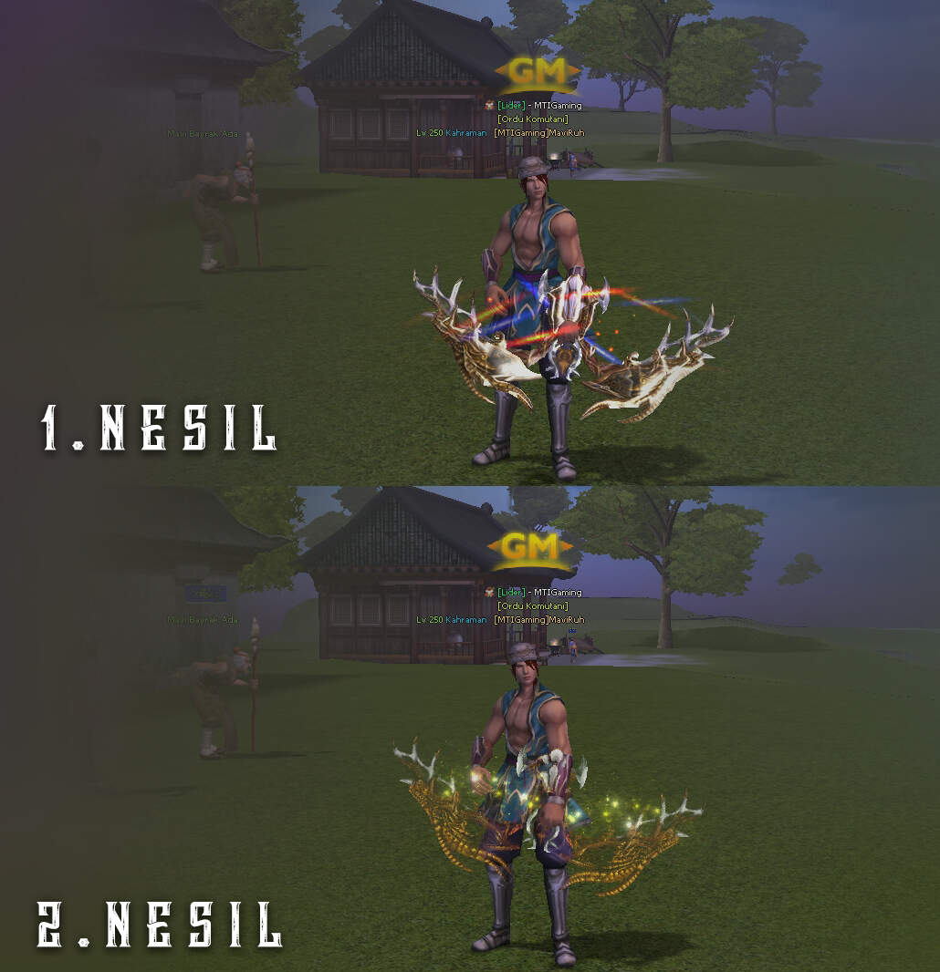 Pack de Arme MDE - Vechi & Noi - Mesaj 1 - Imagine 3