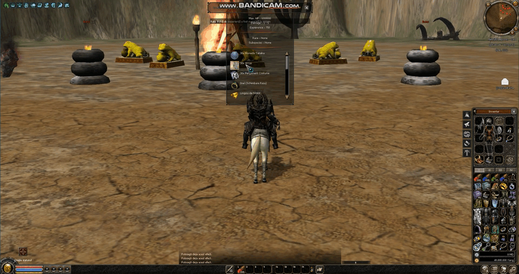 Serverfiles Metin2FreeDoom (250) - Mesaj 1 - Imagine 3