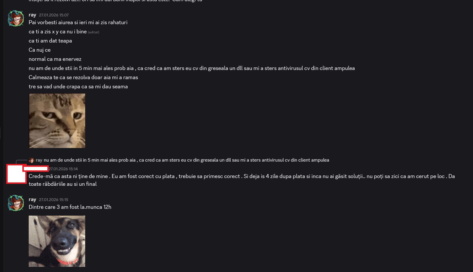 Vanzator neserios / tepar: ray. - Mesaj 1 - Imagine 2