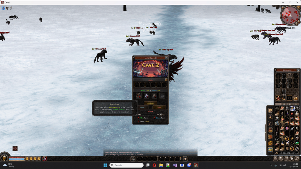 [C++/Py] System AutoHunt V2 - Mesaj 7 - Imagine 1
