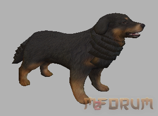 Pet Caine (3 culori) - Mesaj 1 - Imagine 2