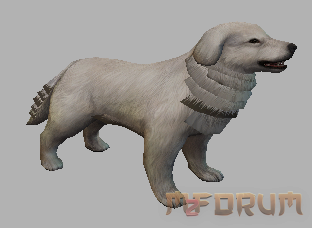 Pet Caine (3 culori) - Mesaj 1 - Imagine 1