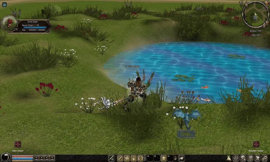 Map1 veche Fantasy + NPC.txt - Mesaj 1 - Imagine 9