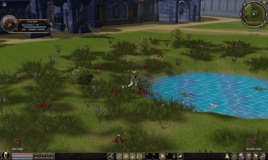 Map1 veche Fantasy + NPC.txt - Mesaj 1 - Imagine 7