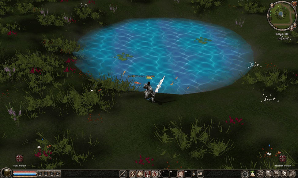 Map1 veche Fantasy + NPC.txt - Mesaj 1 - Imagine 1